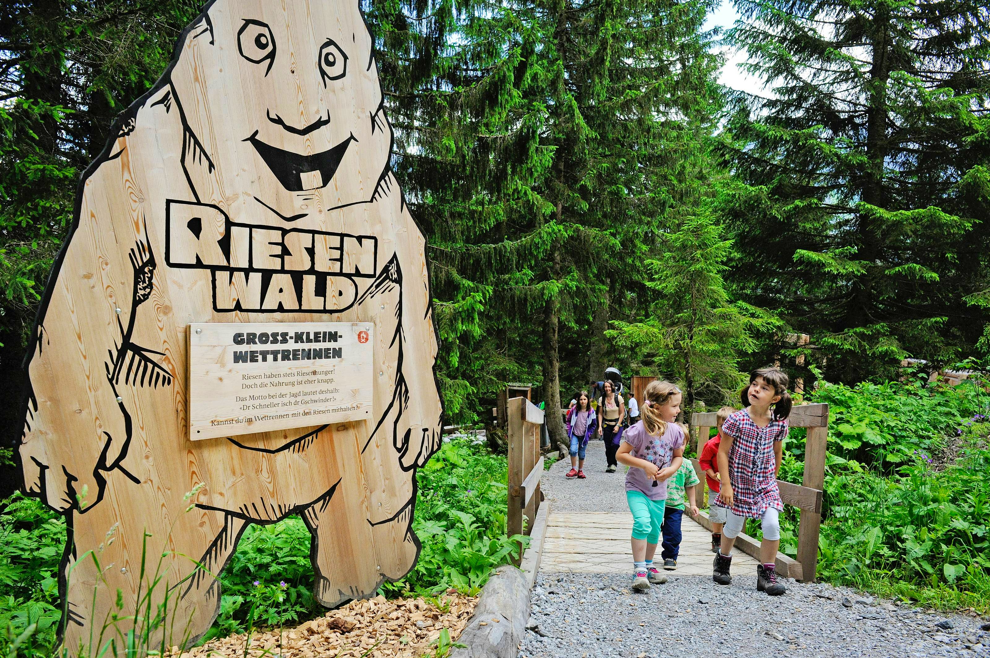 Bild des Riesenwalds