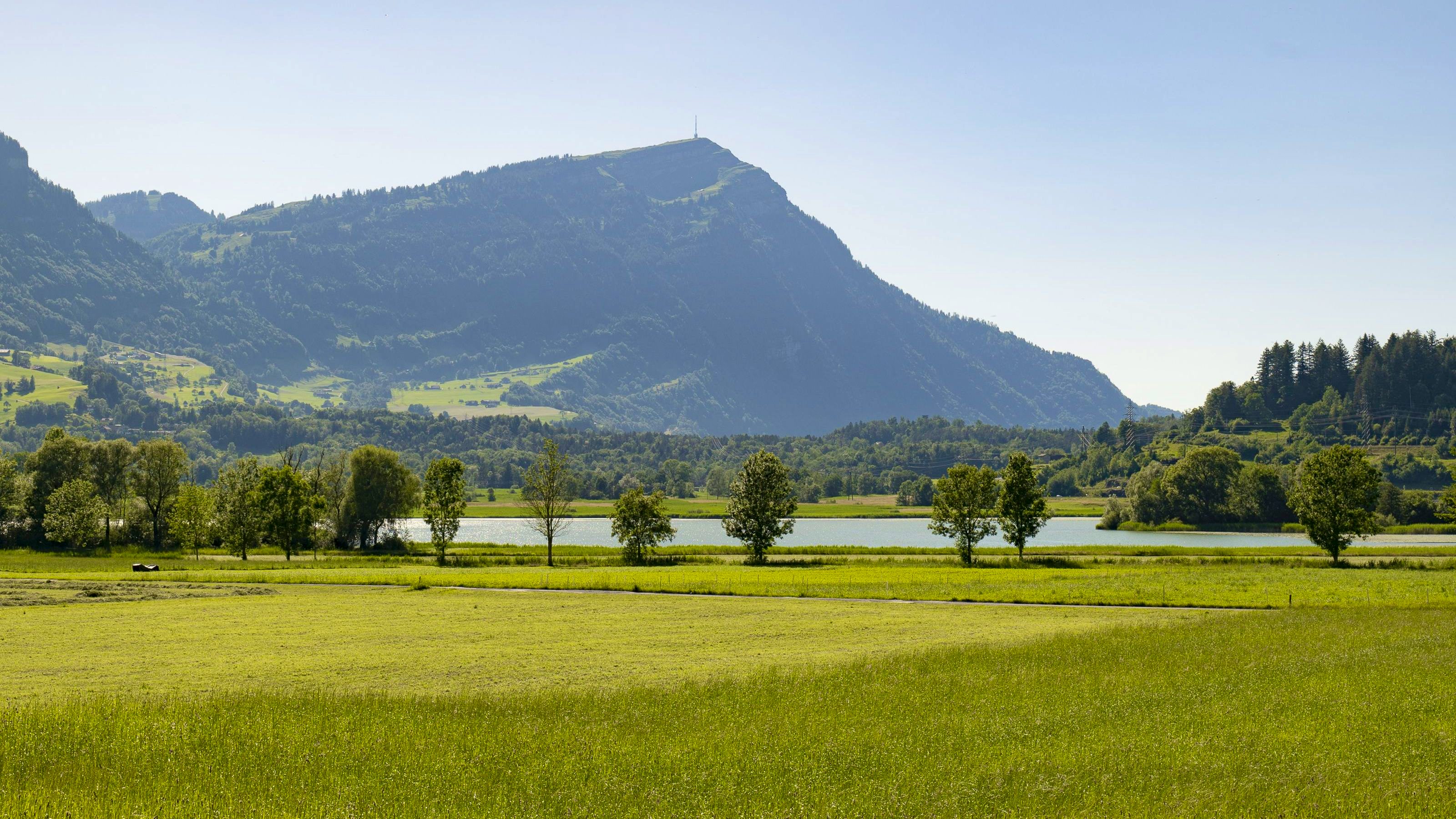 Die Rigi mit einem Teil des Lauerzersees im Vordergrund, umsäumt von Wiesen und Bäumen.