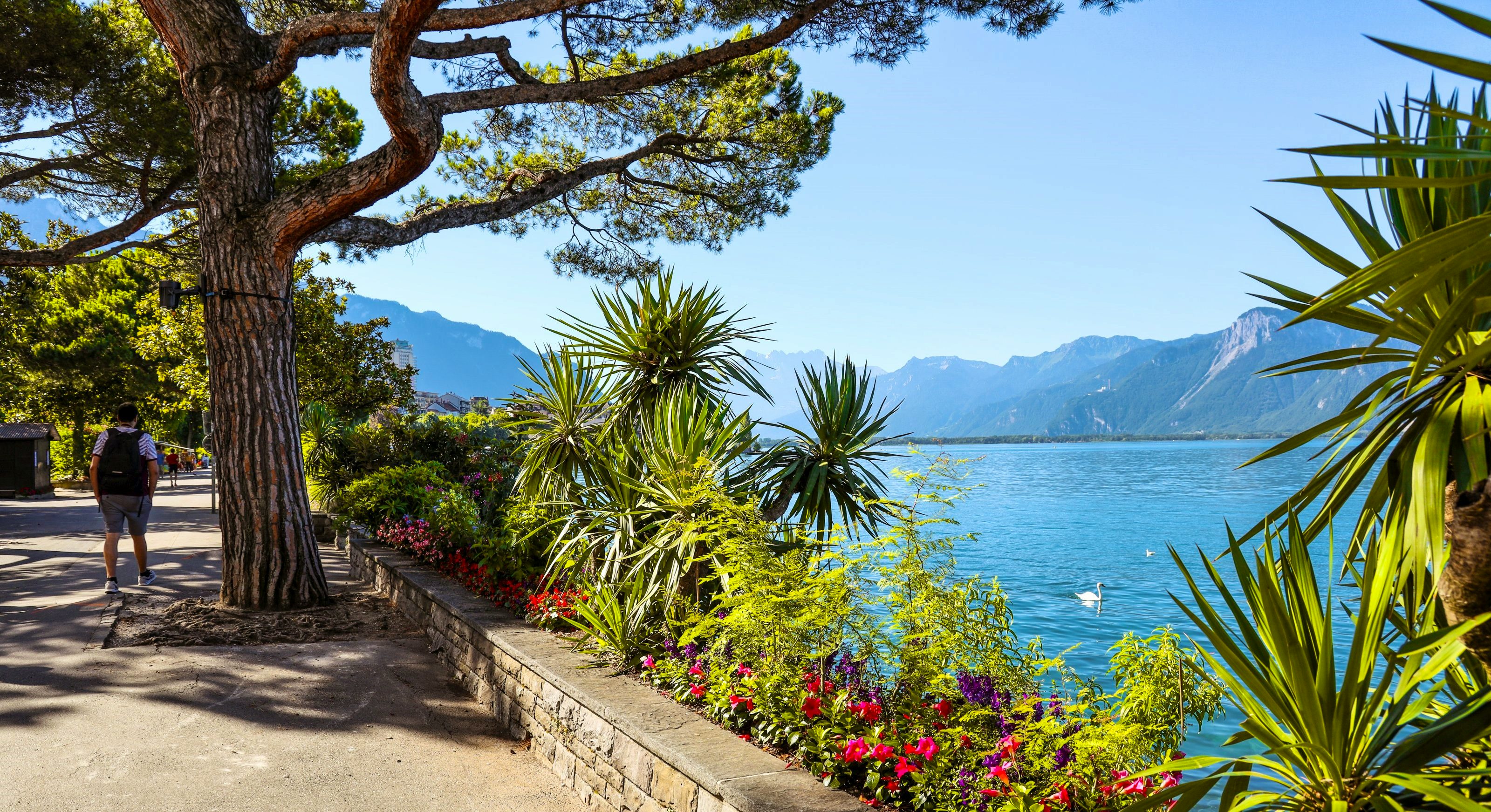Eine begrünte Promenade, rechts davon der See.
