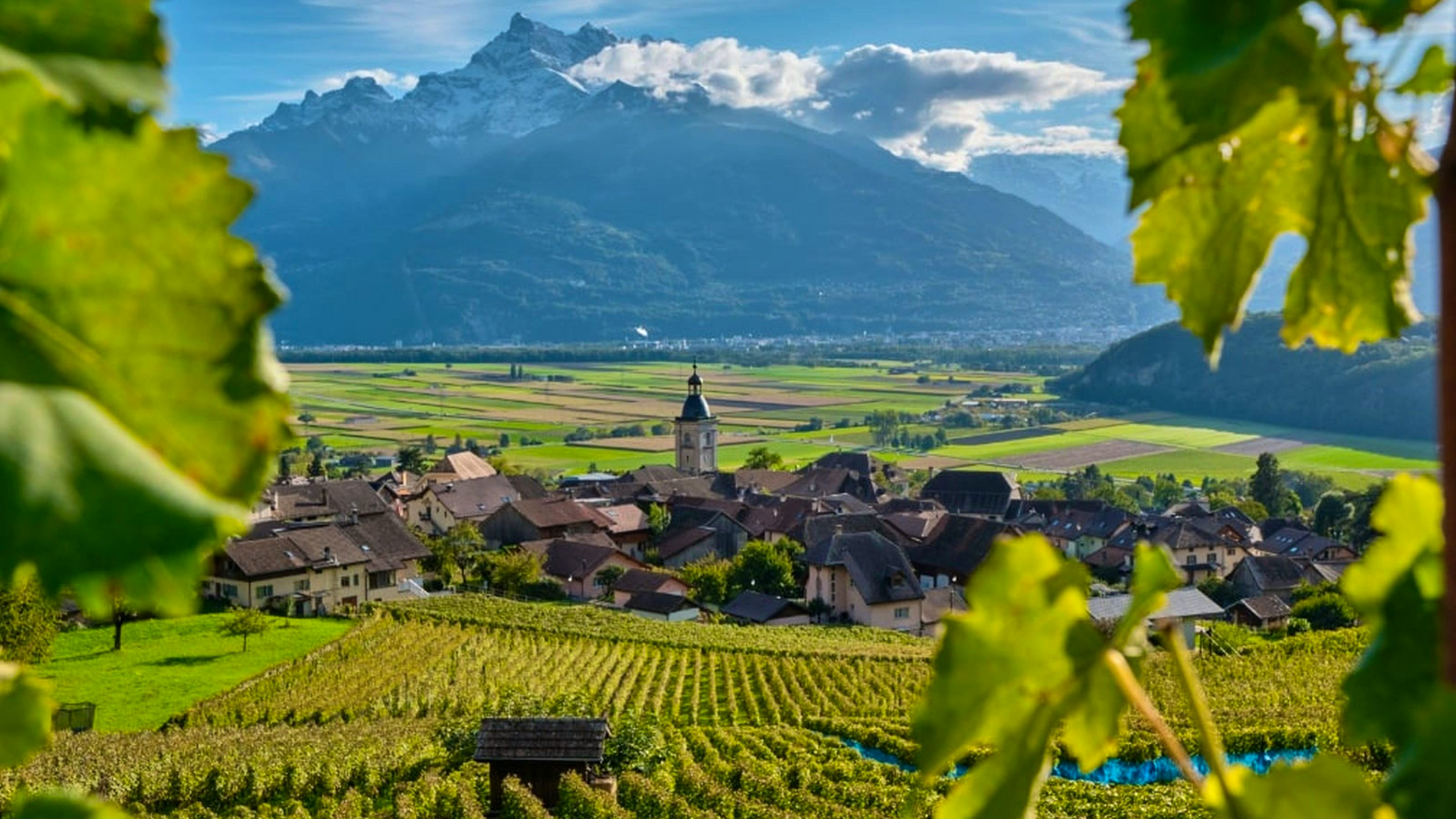 View of a village with vineyards in Chablais.